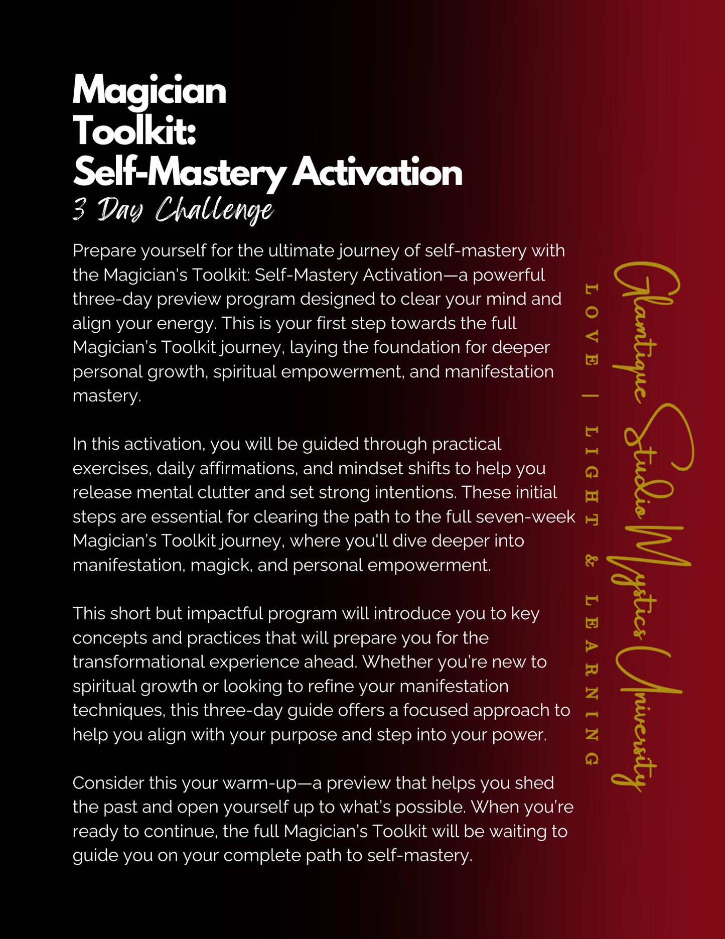THE MASTERY JOURNEY (STANDARD)