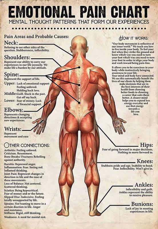 REIKI READING & "Laying Hands" 1HR
