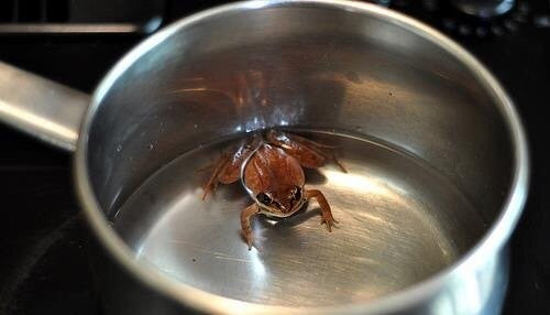FROG IN THE POT FABLE : How to apply it in life & business!