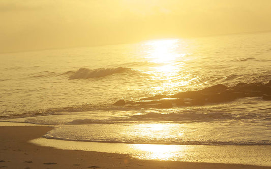 SUMMER SOLSTICE: HONORING THE LIGHT IN OURSELVES