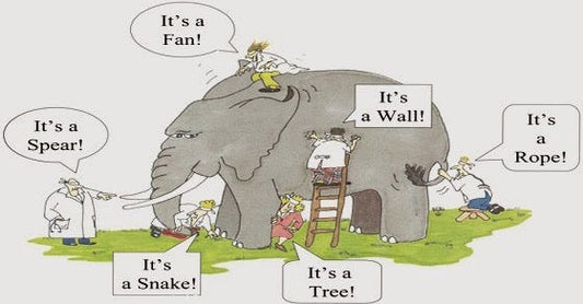 Parable of The Elephant and the Blind Men