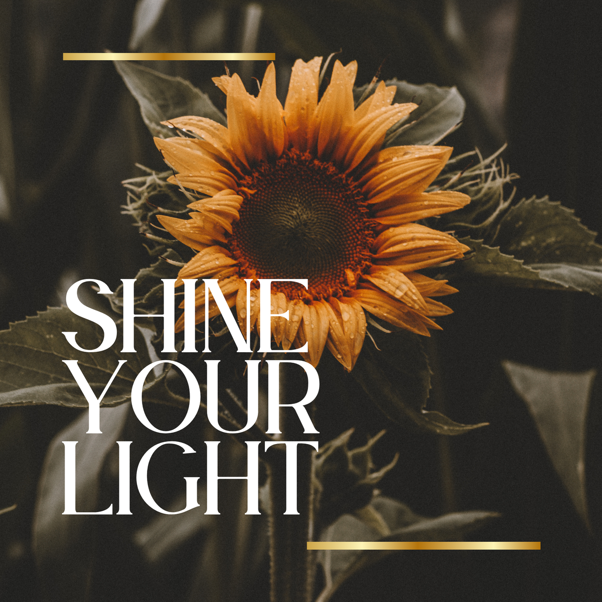 SHINE YOUR LIGHT RITUAL