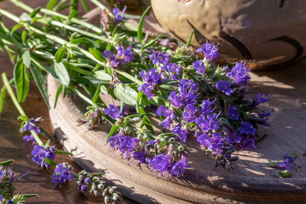 HYSSOP BATH OIL
