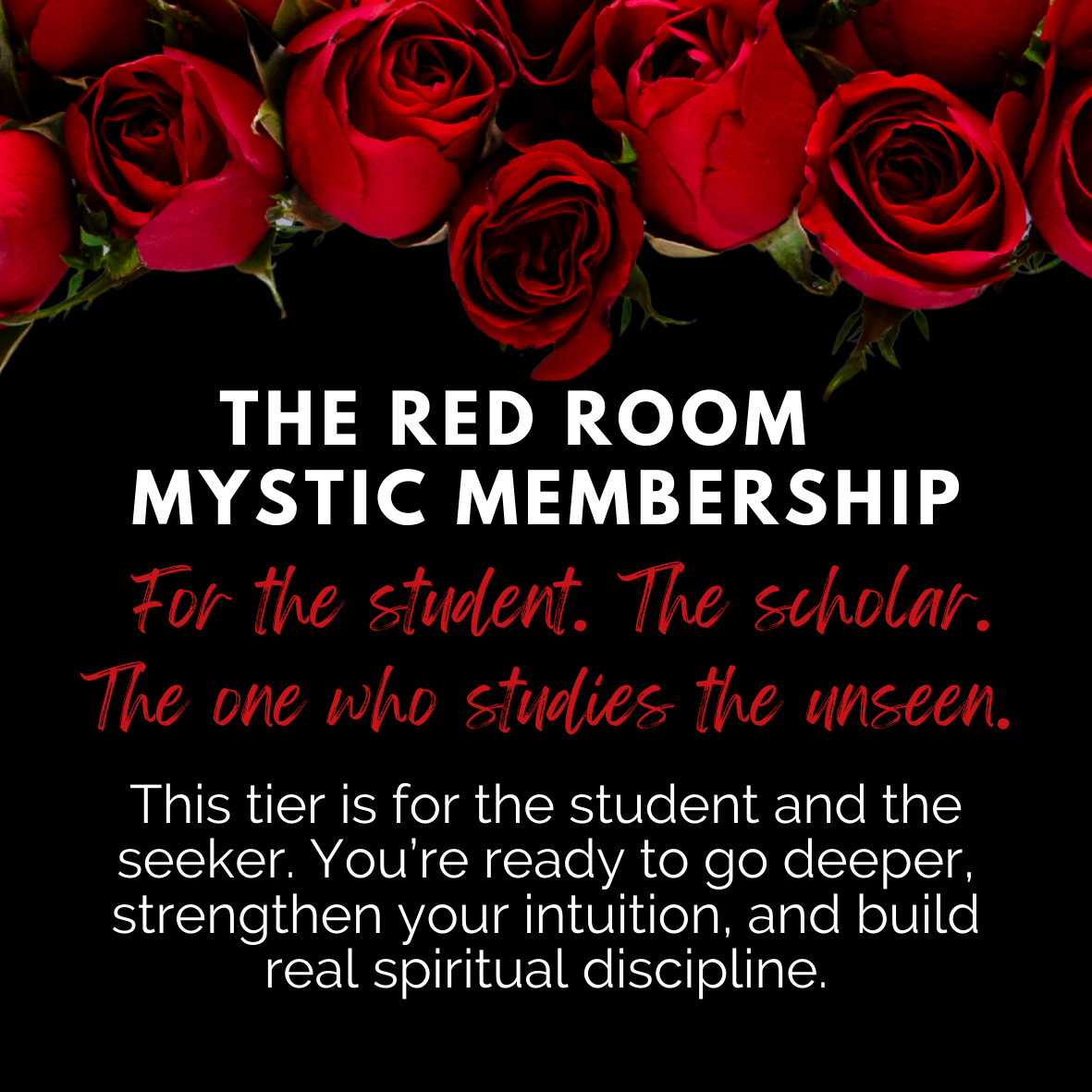 MYSTIC RED ROOM MEMBERSHIP (6 MONTH)