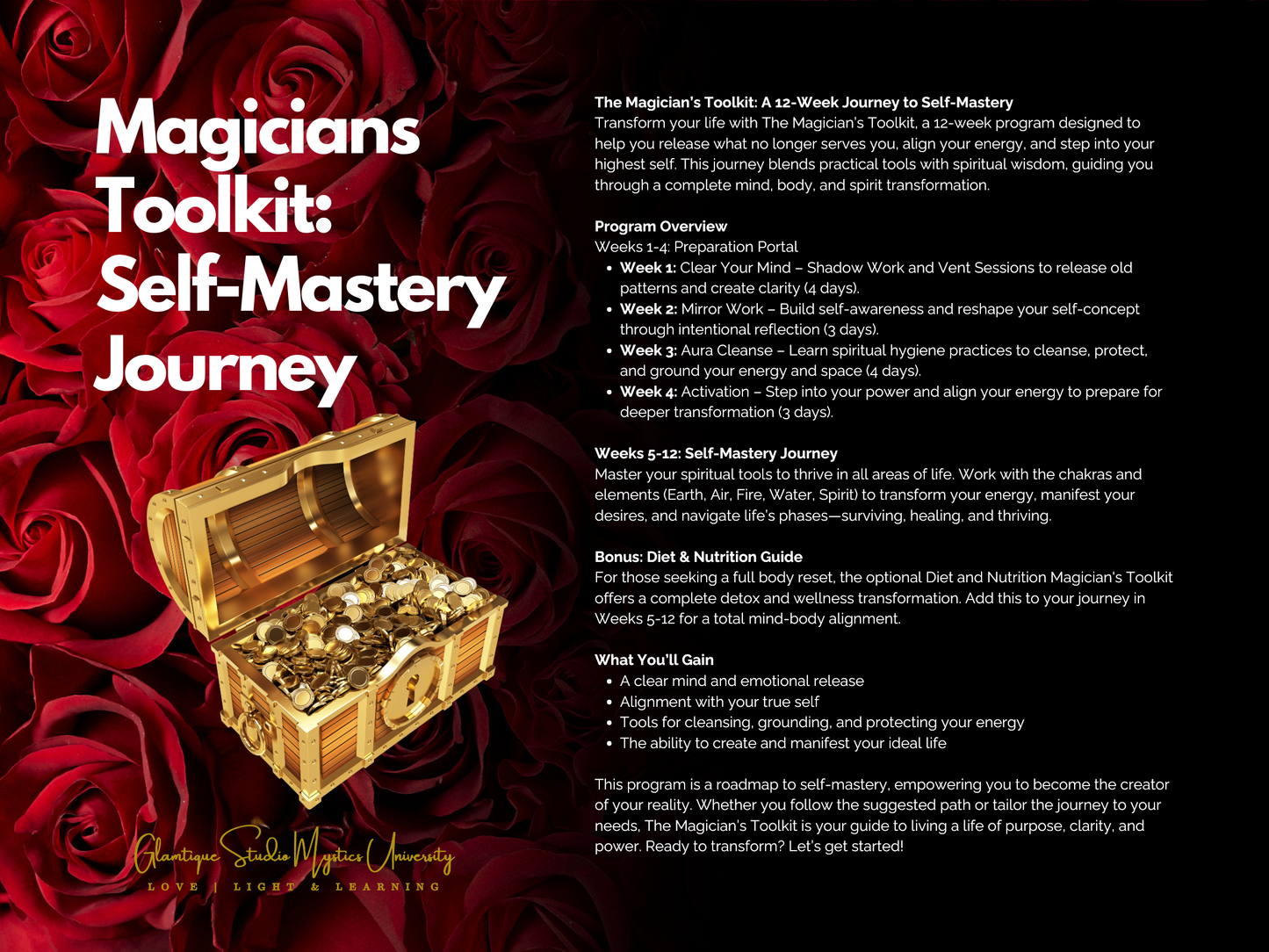 MAGICIANS TOOLKIT CHEATSHEETS (NM)