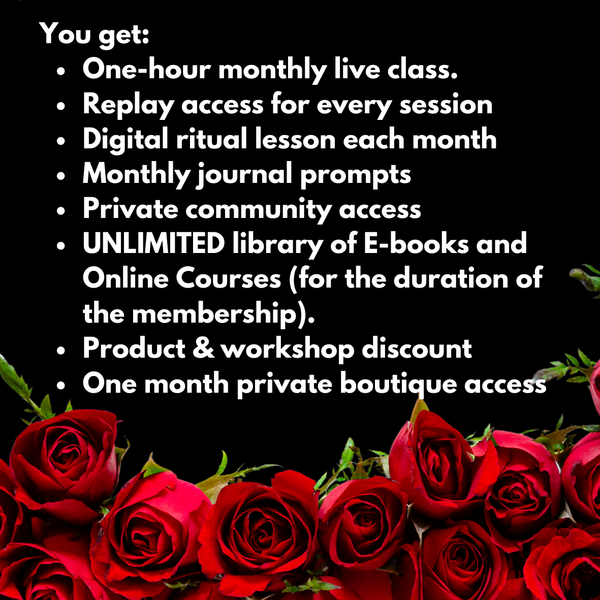 VIP RED ROOM MONTHLY MEMBERSHIP