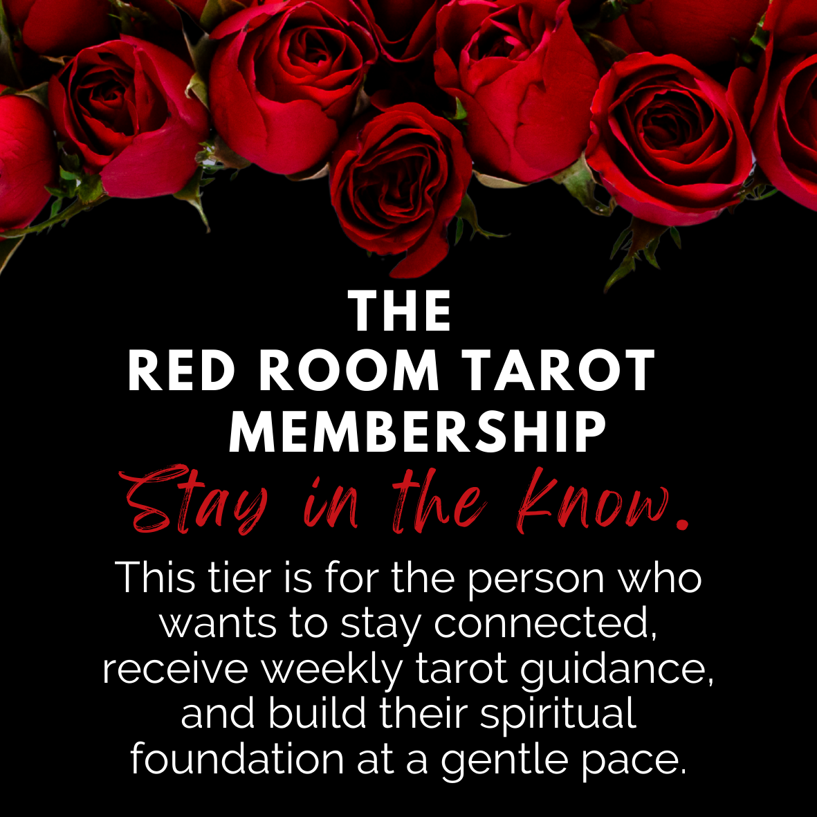 RED ROOM TAROT MEMBERSHIP