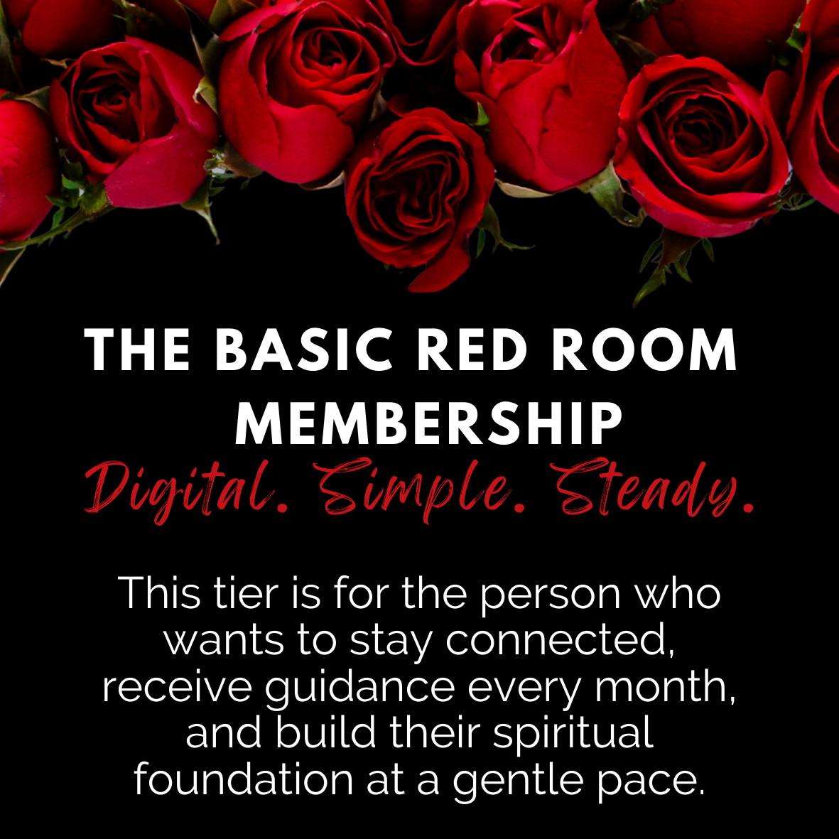 SIGNATURE RED ROOM MEMBERSHIP
