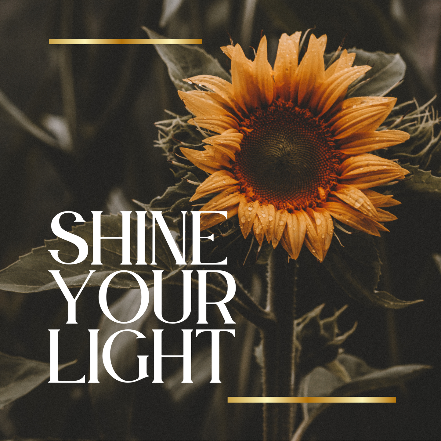 SHINE YOUR LIGHT RITUAL