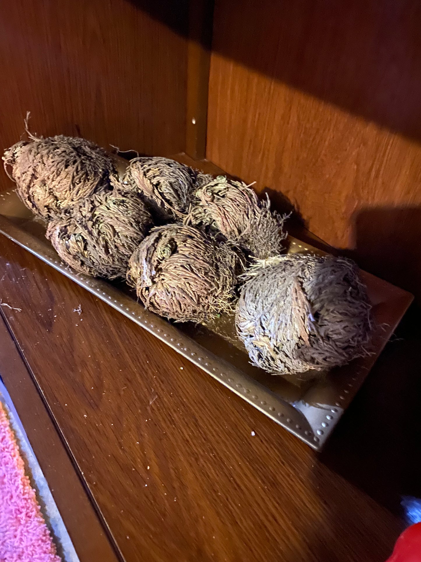 ROSE OF JERICHO