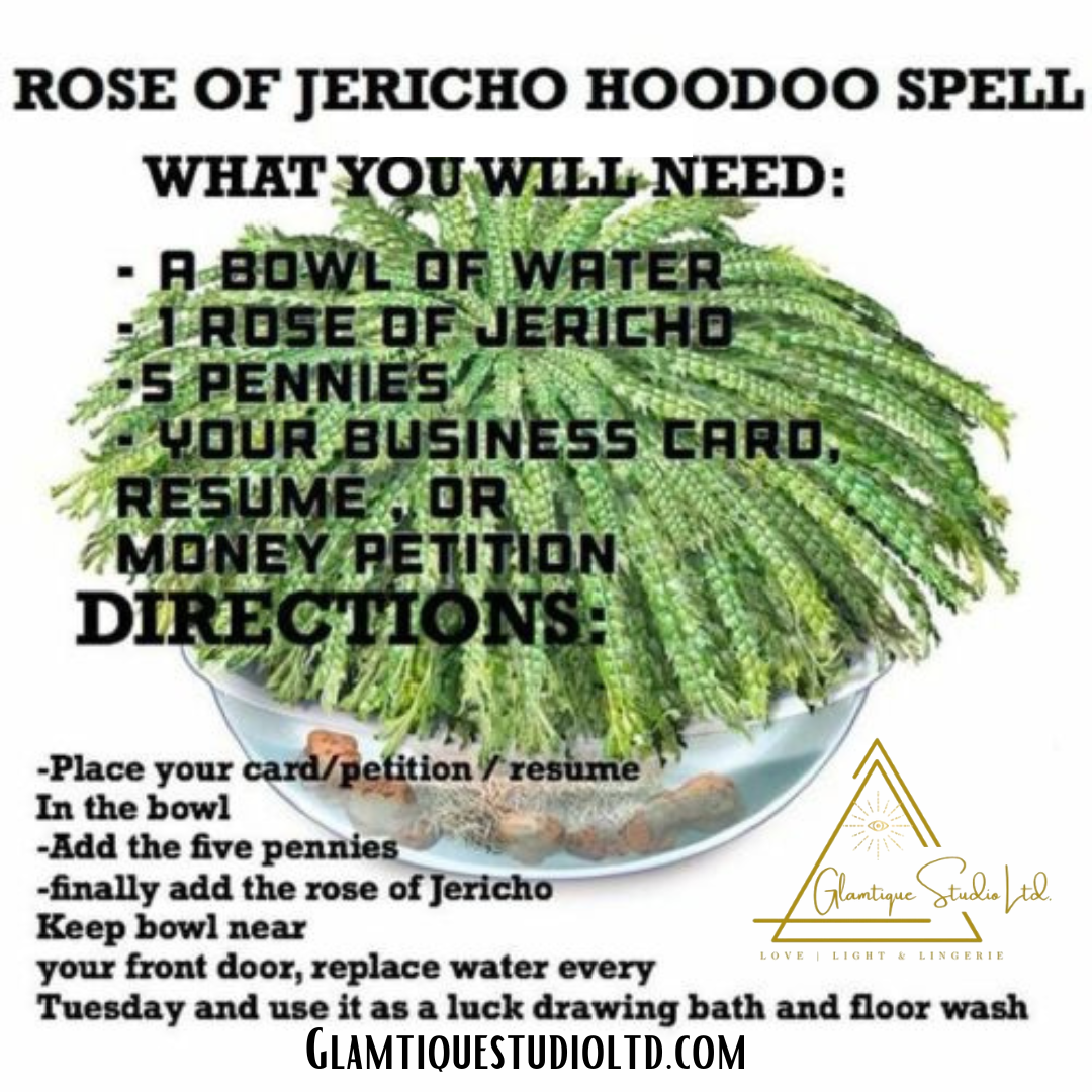 ROSE OF JERICHO